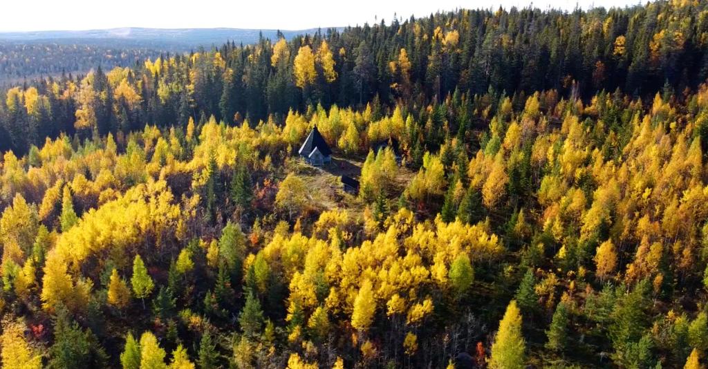 wilderness hut without electricity