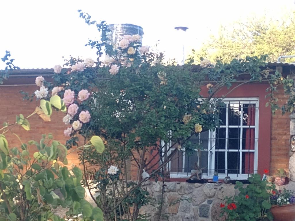 Mi Refugio photo 1