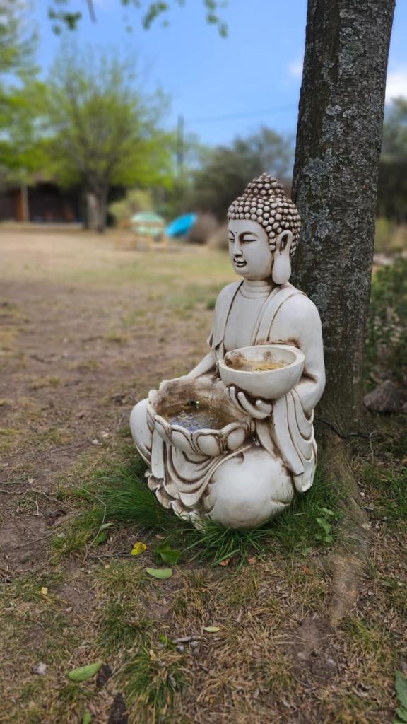 Sueño Zen photo 1