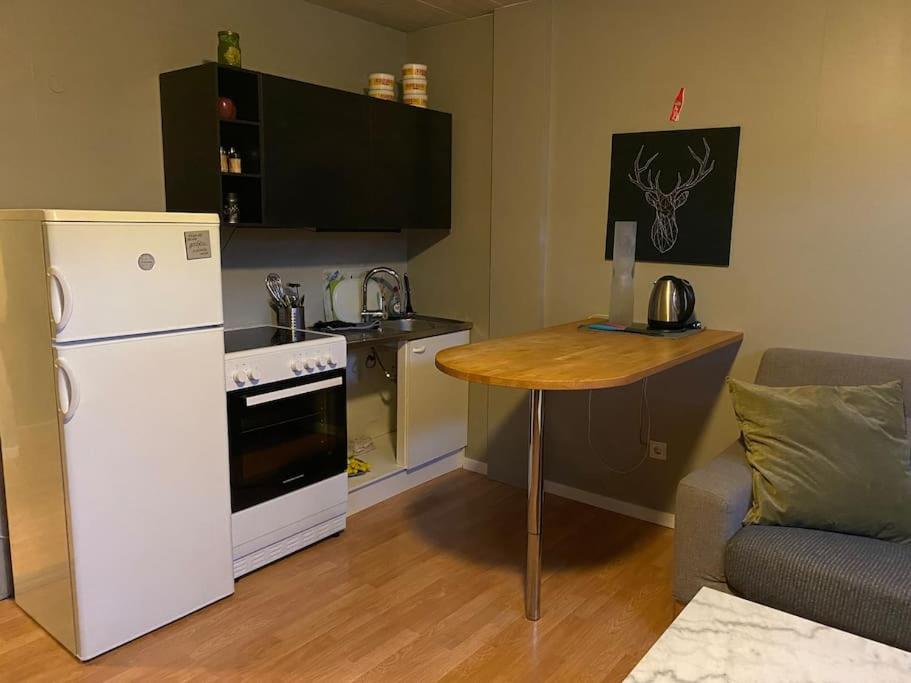 A cozy One-Bedroom basement apartment in RVK suburbs photo 3