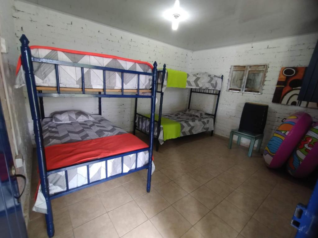 FINCA LA COLONIA photo 3