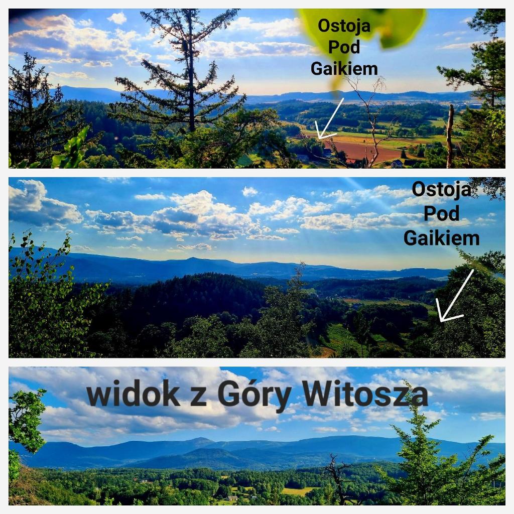 Ostoja Pod Gaikiem photo 4