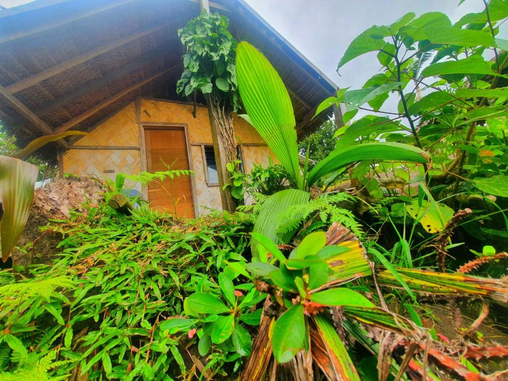 Imaio home stay photo 1