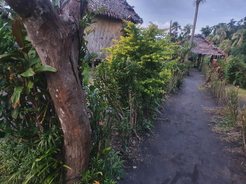 Imaio home stay photo 2