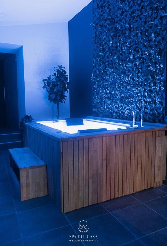 Spa Niagara privé avec jacuzzi photo 2