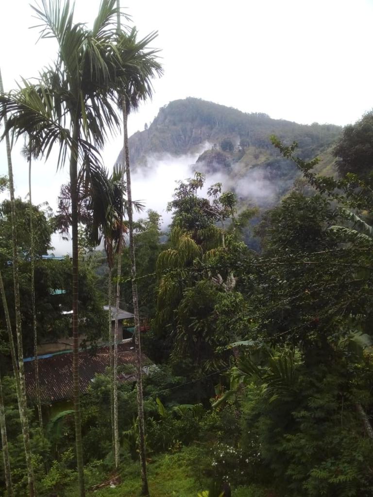 Misty Heaven photo 4