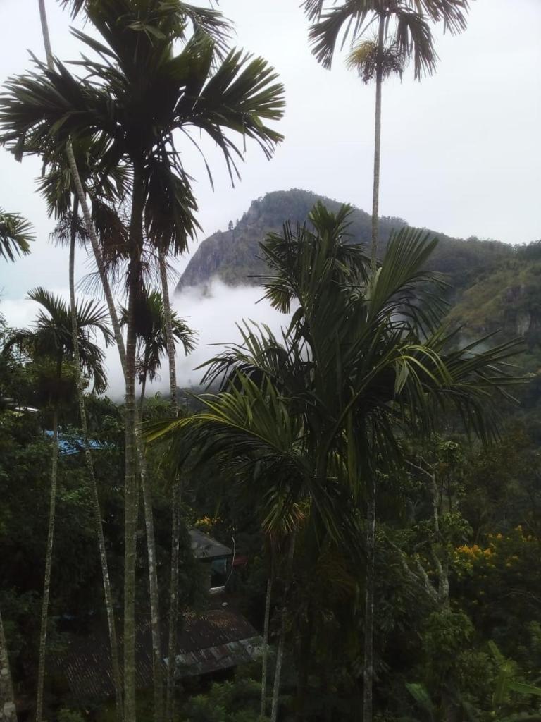 Misty Heaven photo 3