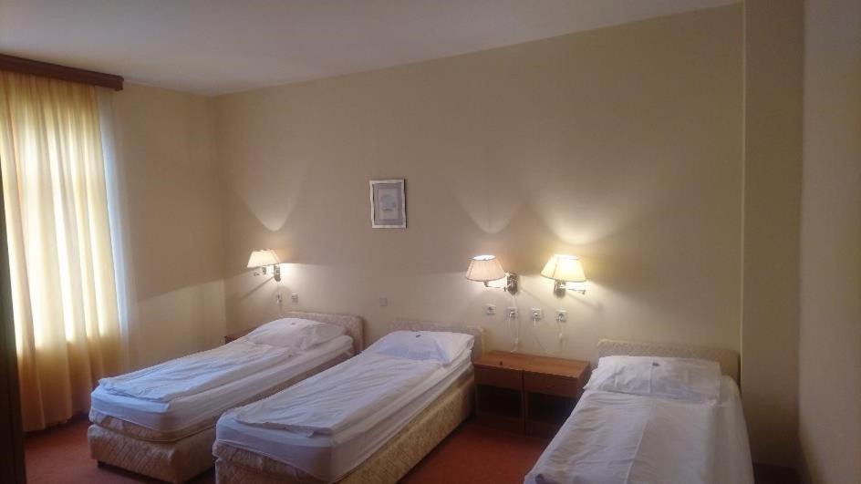 Hotel Vila Ružica- glavna zgrada i depandanse photo 2