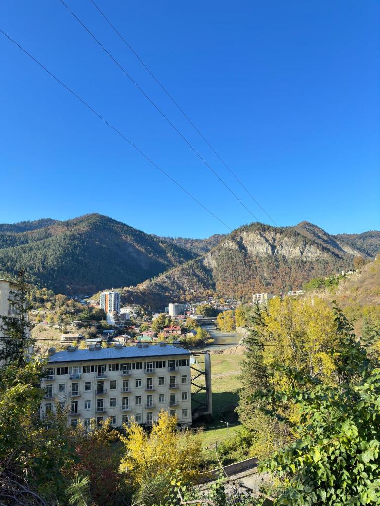 Woodland Borjomi photo 1