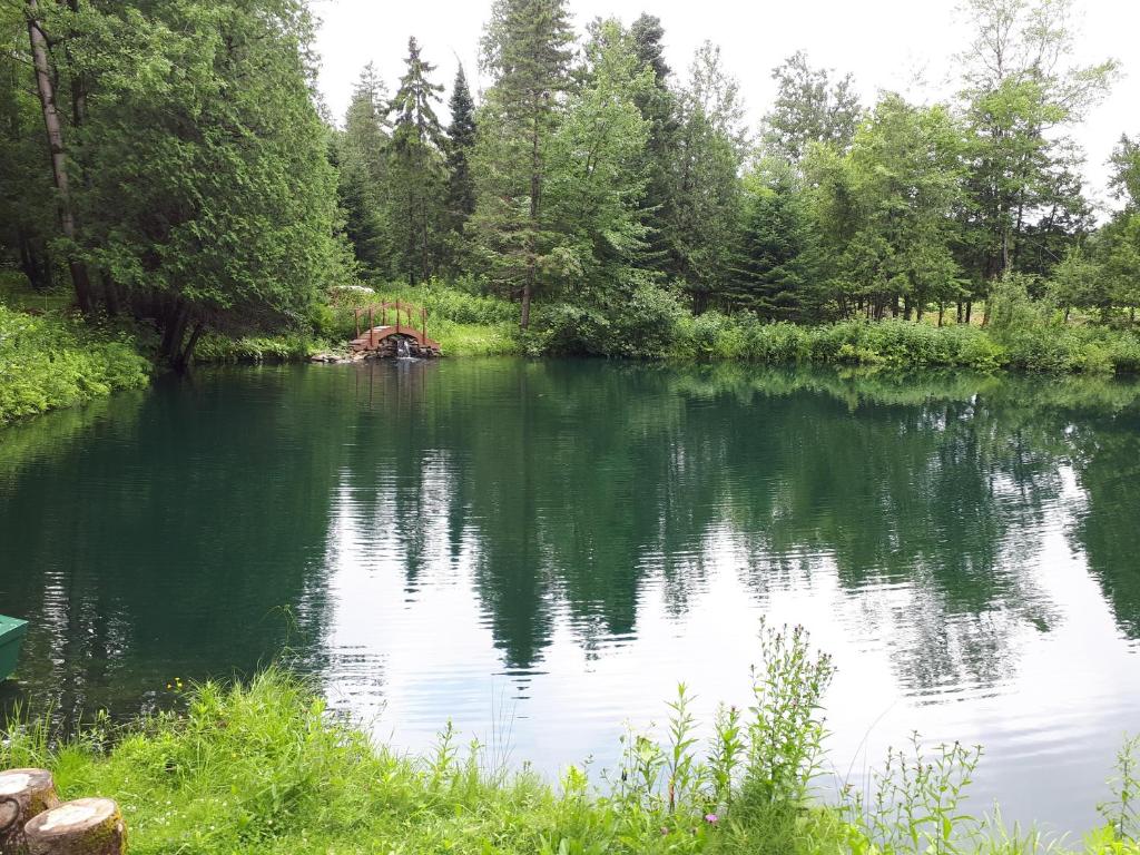 Le Domaine de l'Étang photo 2