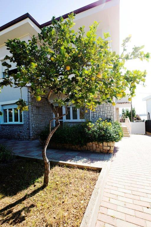 Appartamento 150 mq in villa sul mare a Fertilia photo 2