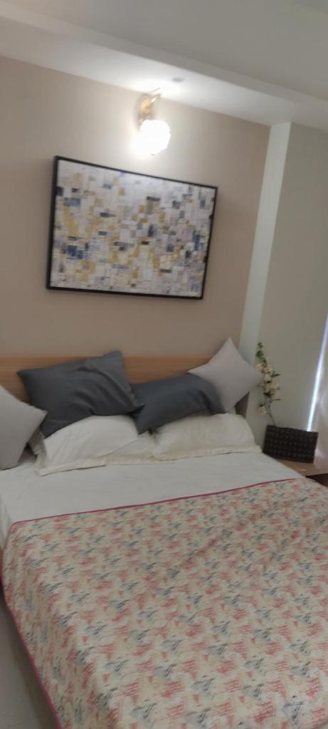 2 bhk furnished flat photo 1