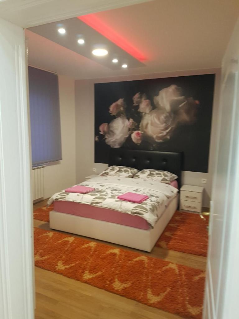 Apartman Aleksandar, BN centar photo 2