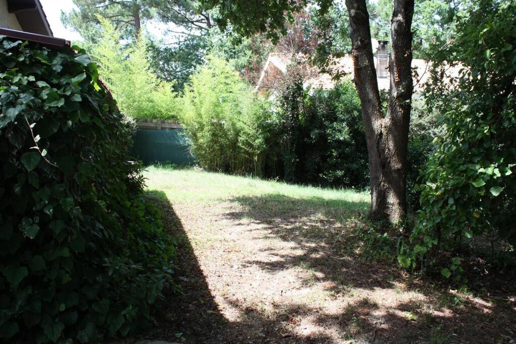 Maison à SOULAC sur Mer avec Jardin photo 3