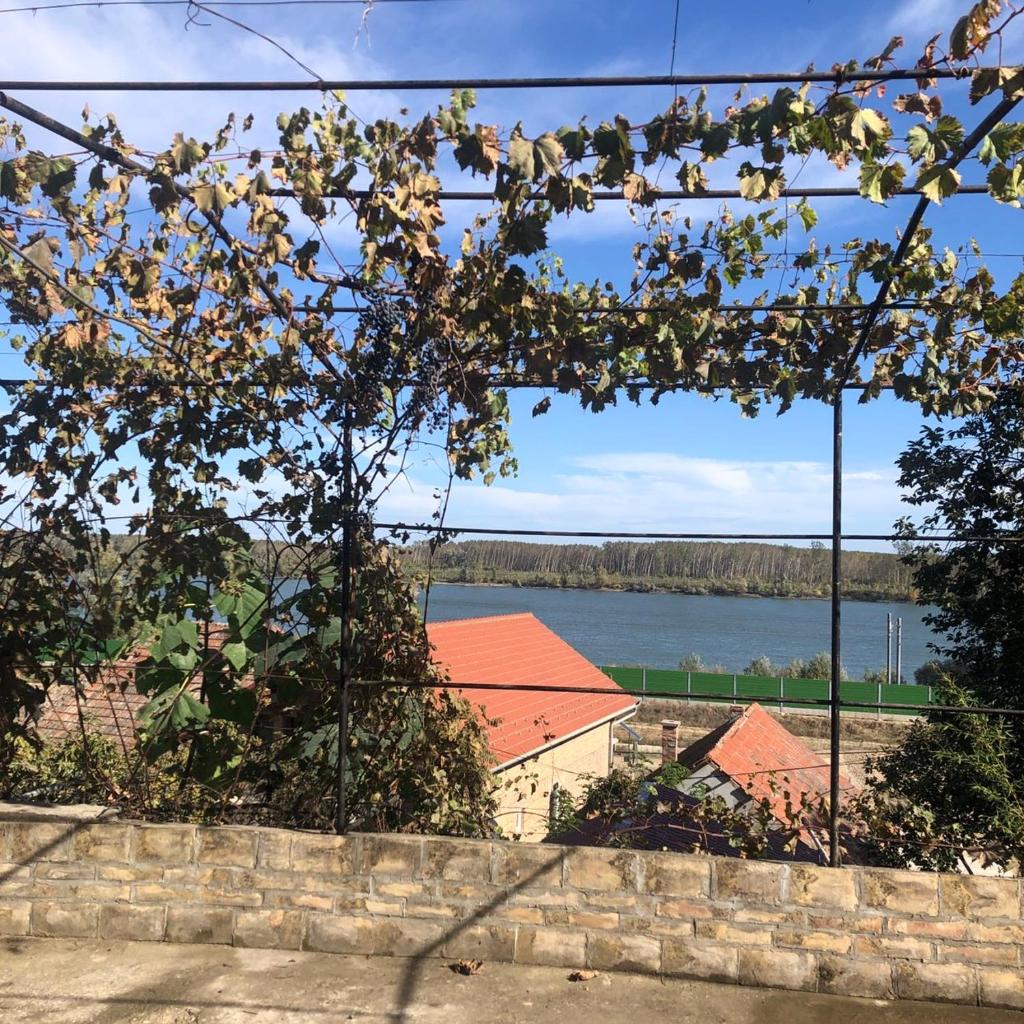 Julie's family hostel at Novi sad Sremski karlovic photo 2