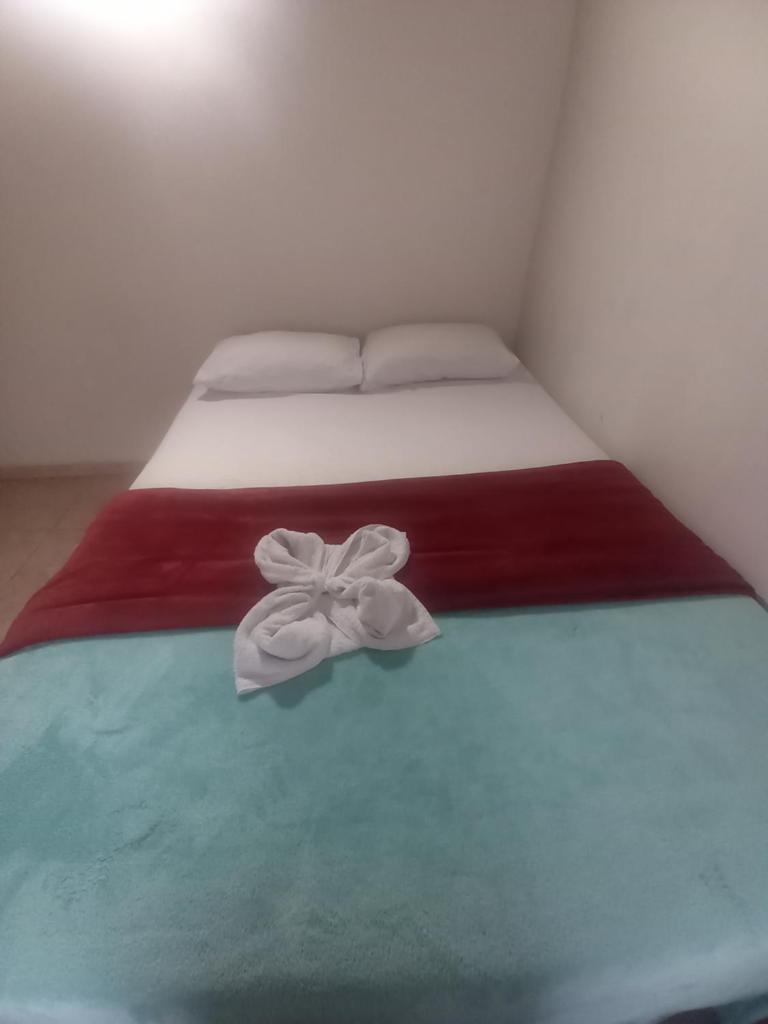 la piedra photo 3