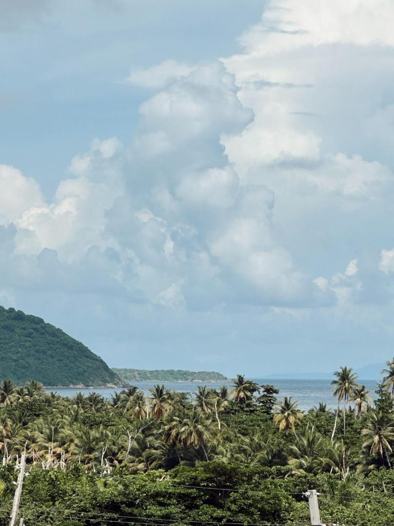 Tropical Villa Ocean View photo 4