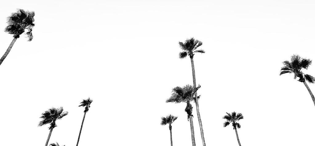 Jazz Hotel Palm Springs photo 1