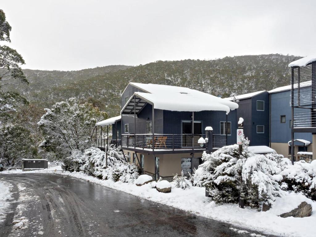 Snowbound 1 photo 2