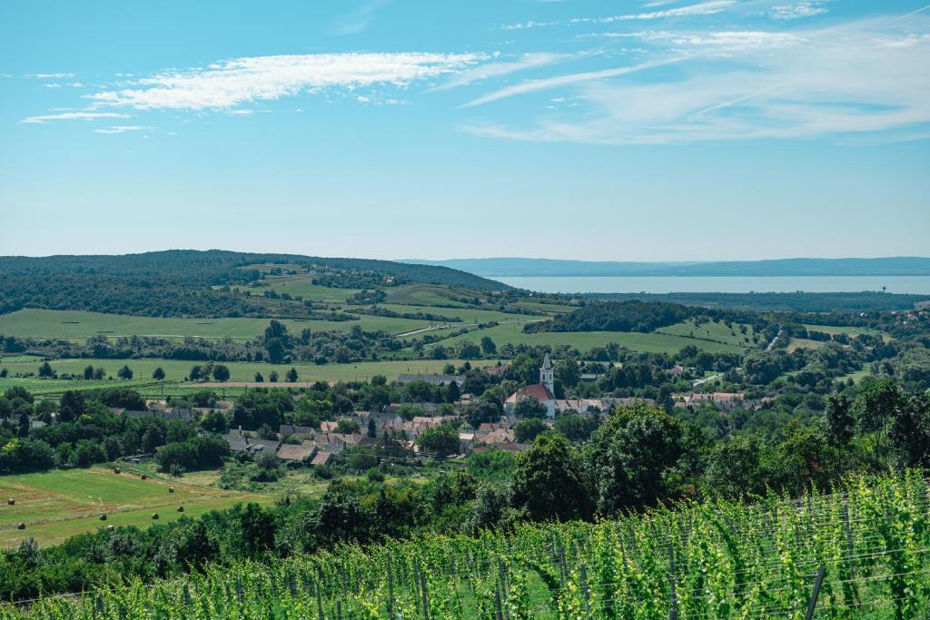 Alpakavendégház photo 1