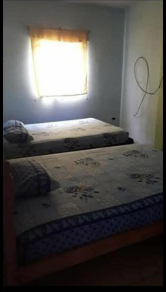 Waica House photo 4