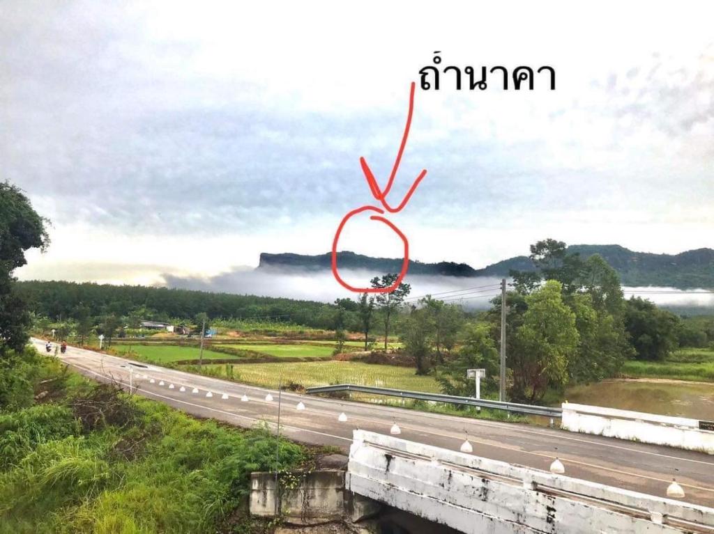 Chompunud House589 ชมพูนุชเฮ้าส์589 photo 4