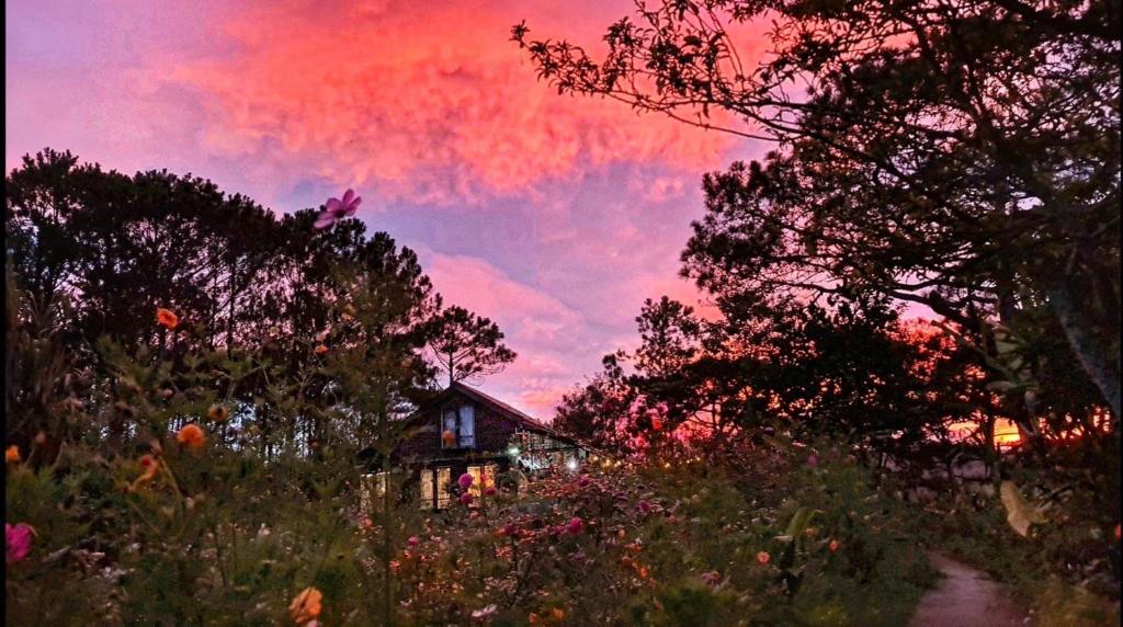 Romantic house on a pine hill 2