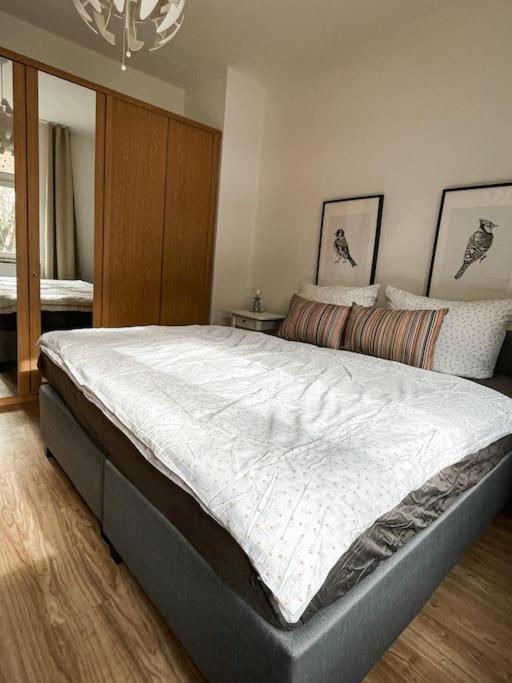 Gemütliche Wohnung in der Stadt 1 photo 1