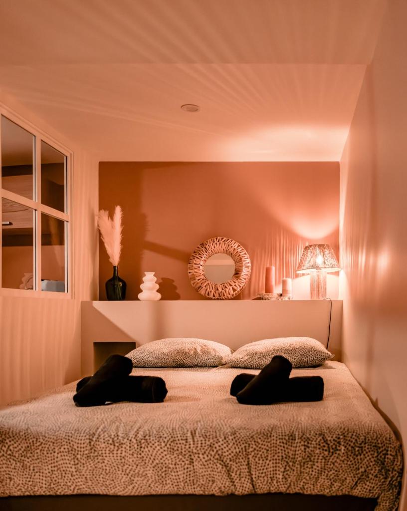 Studio côté Centre-ville/Zénith photo 4