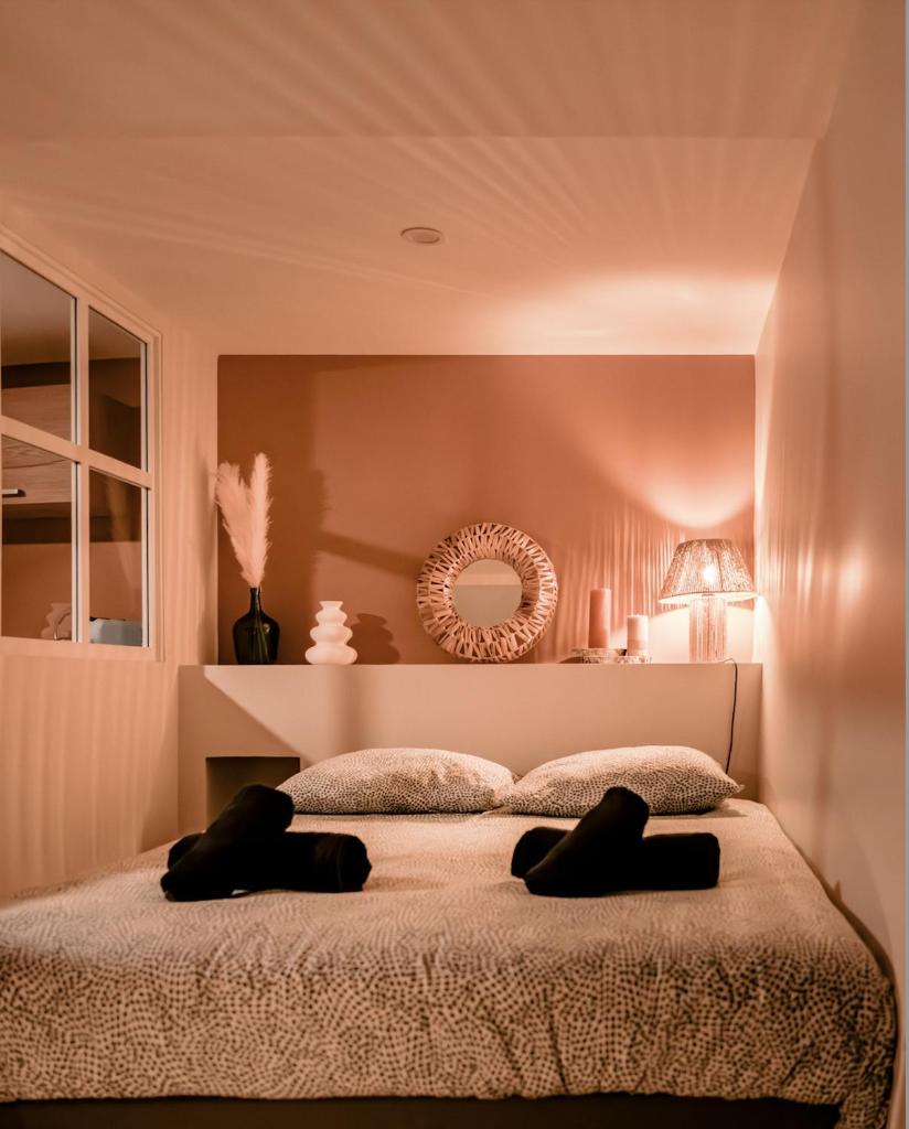 Studio côté Centre-ville/Zénith photo 1