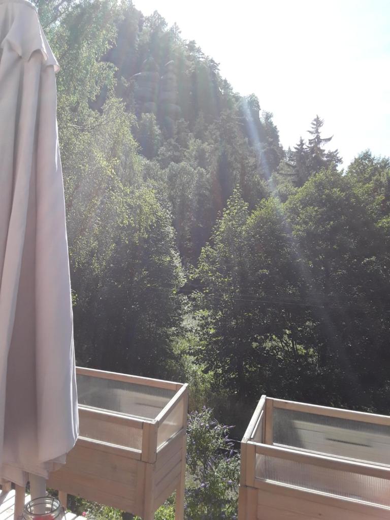 Holzwerk Oybin photo 4