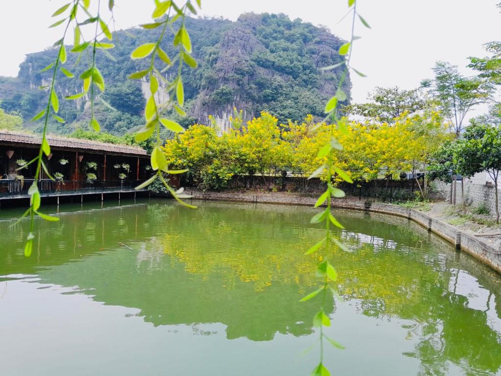 Tam Coc Garden Homestay