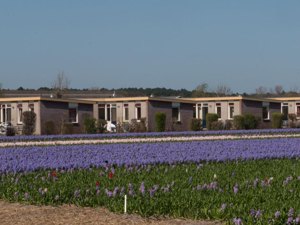 Holiday Home De Wijde Blick by Interhome