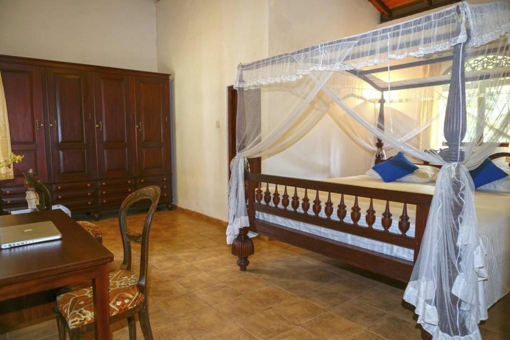 White star house photo 3