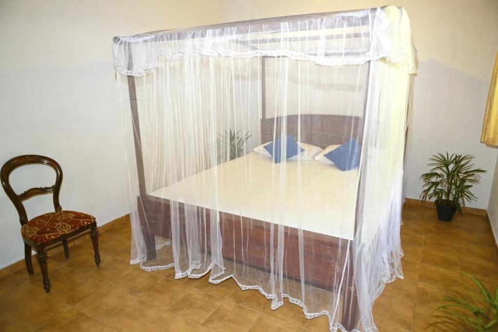 White star house photo 4