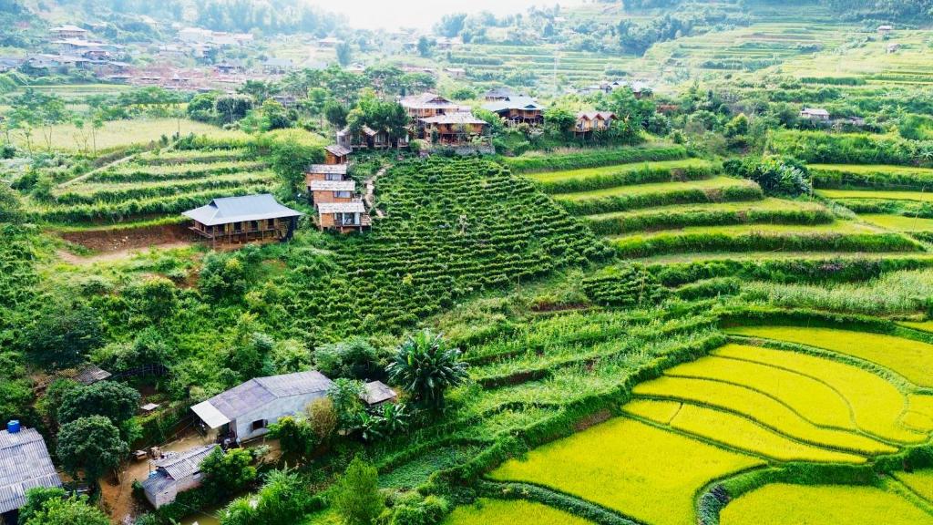 Na Thẩm Eco Hill Homestay - Trạm Tấu photo 2
