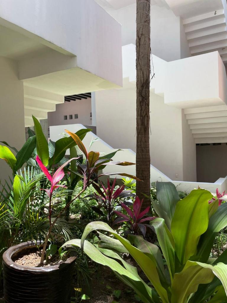 Your Luxury Oasis at Tahéima photo 2