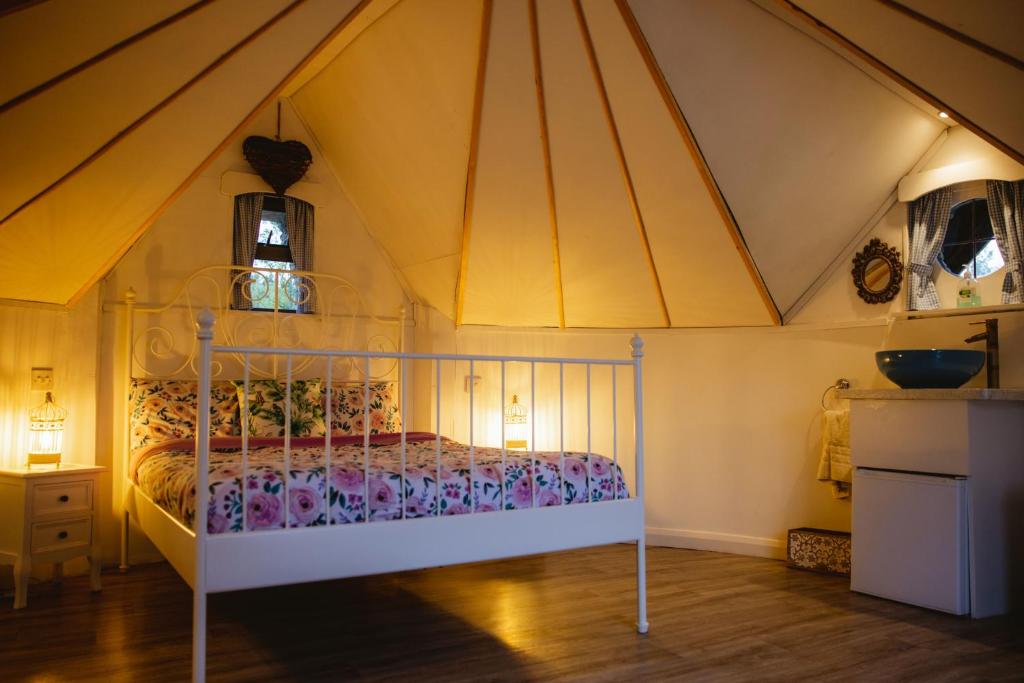 Mayo Glamping photo 3