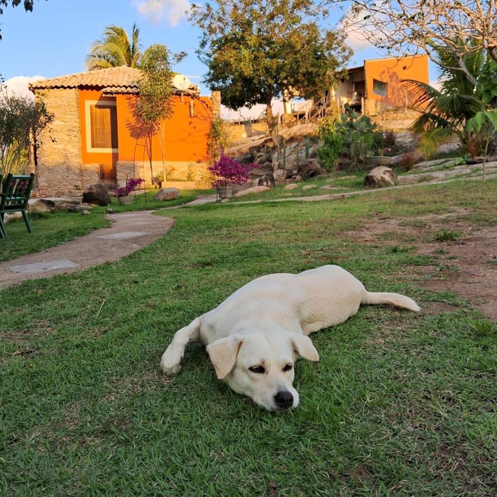 Pousada Lajedo photo 2