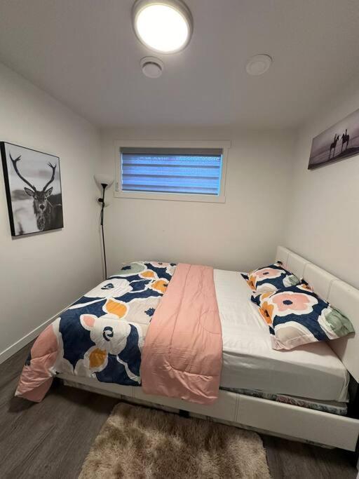 Brand new 1 Bedroom Basement Suite. Wi-Fi,Netflix photo 3