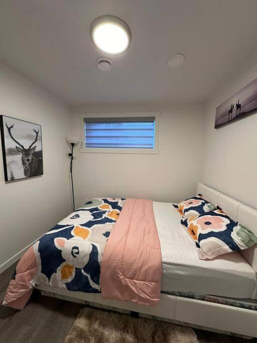 Brand new 1 Bedroom Basement Suite. Wi-Fi,Netflix photo 1