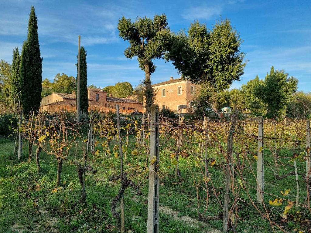 Fornace del Conte photo 4