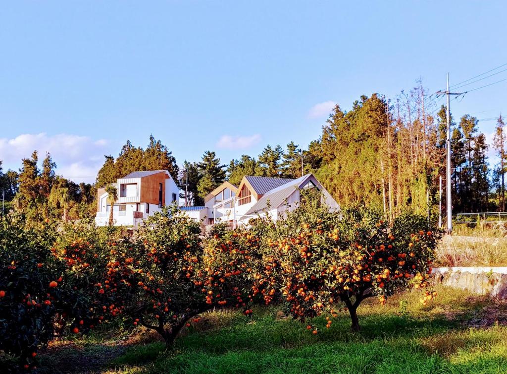 Walden Studios