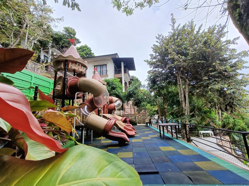 Mist Mountain Resort powered by Cocotel photo 2