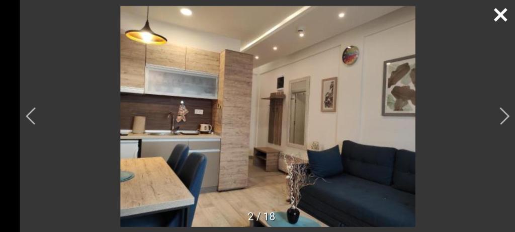 Gavrilovic L33 Milmari Resort Kopaonik photo 1