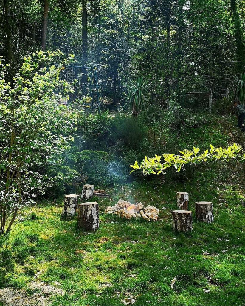 Maison Canadienne dans la forêt photo 1