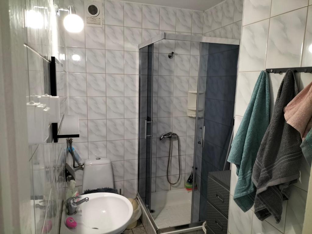 Leśna Chata kuracyjna z sauną i banią w Borach Tucholskich. photo 3