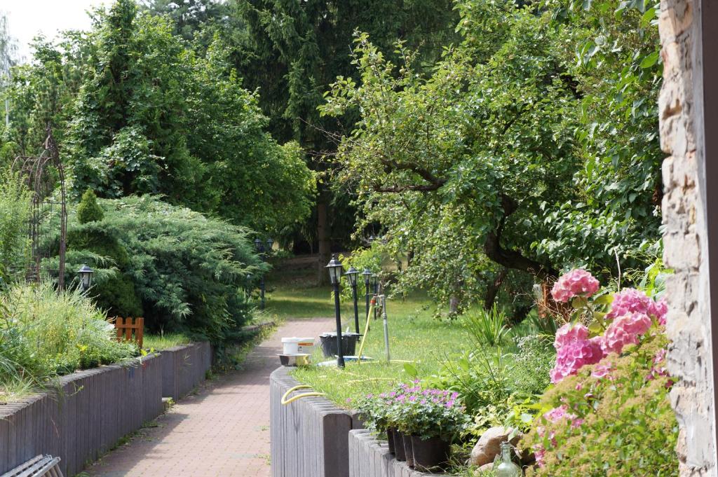 Ferienwohnung in Werder Havel Innenstadt photo 3