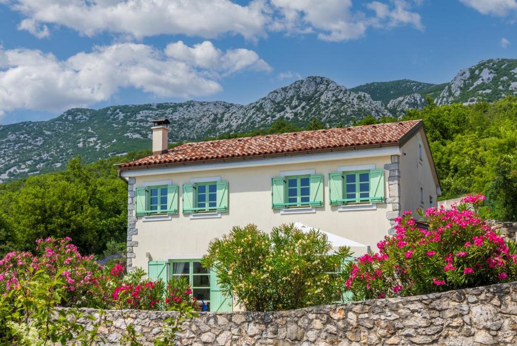 Villa Tribalj photo 1