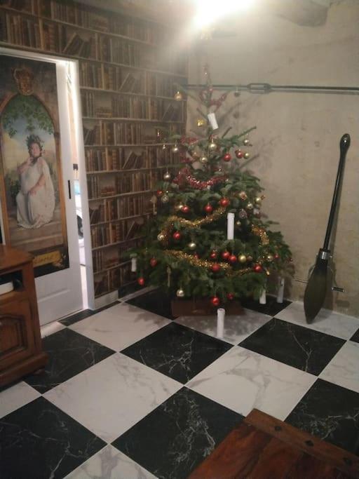 Le Petit Gite des sorciers, Chitray, Indre photo 2